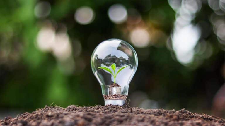 consommation electricite entreprise
