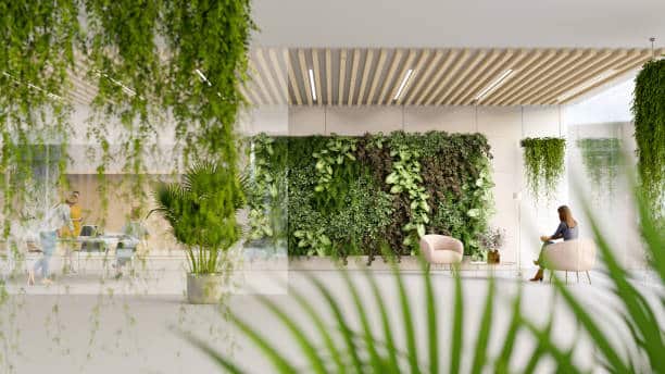 decoration ecologique
