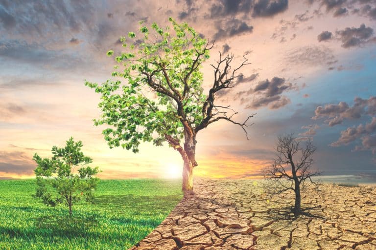 bouleversement climatique