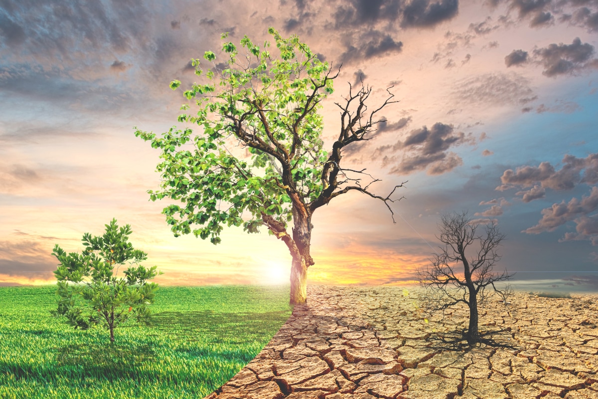 bouleversement climatique