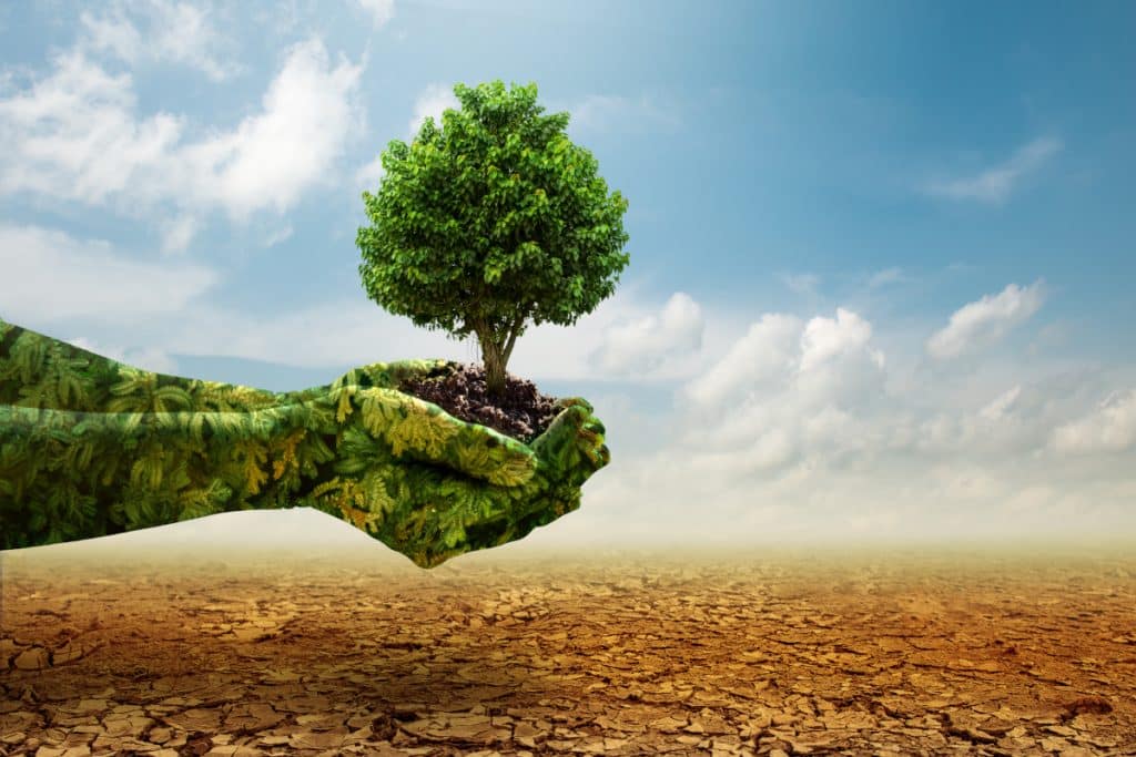 changement climatique