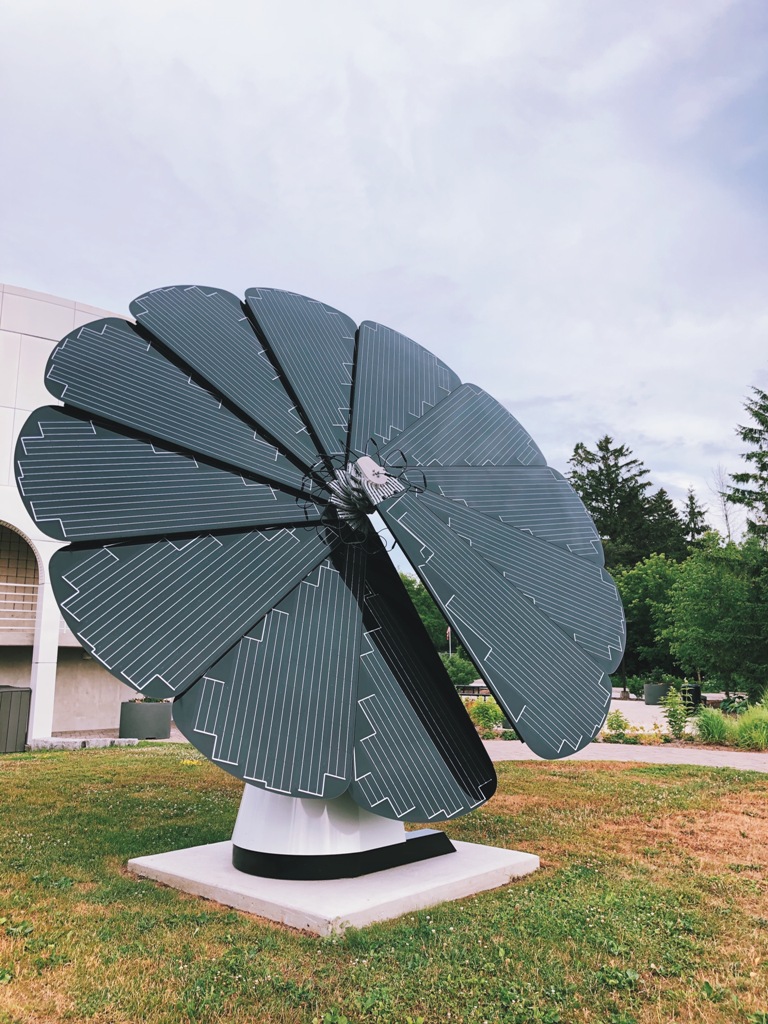 Pourquoi les panneaux solaires sont-ils noirs ?