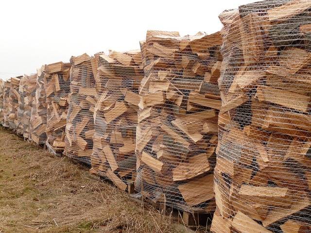 bûches de bois