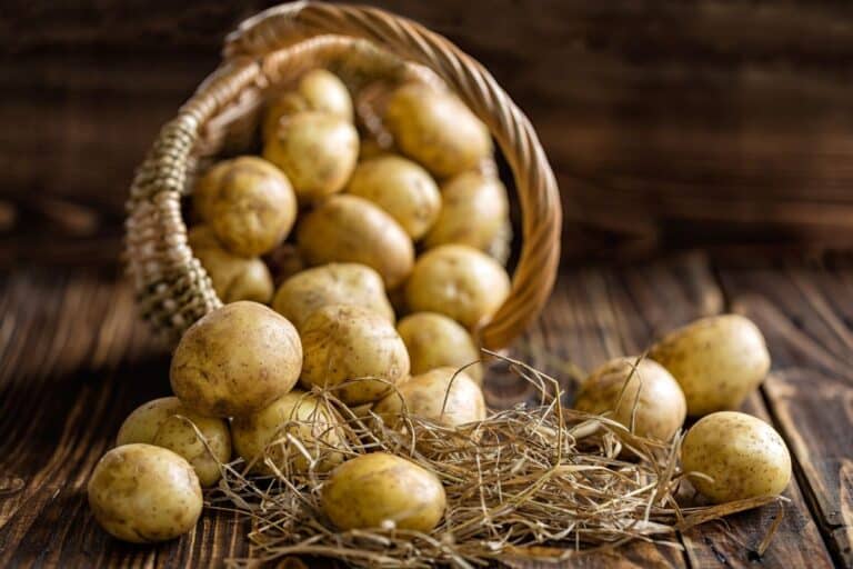 Pommes de terre maison sans jardin