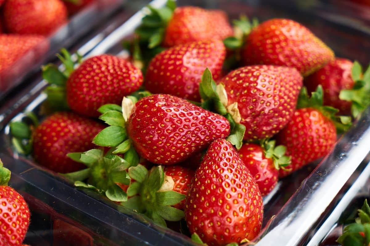 mettre vos fraises au frigo