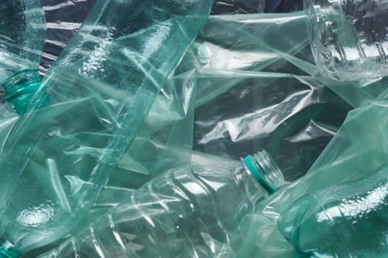 bactérie e.coli et la transforment en mangeuse de plastique