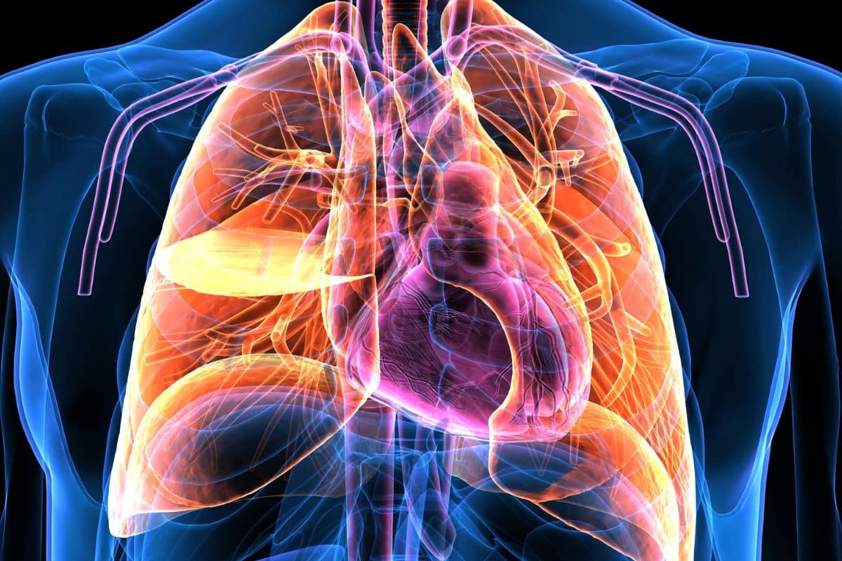 biométrie respiratoire