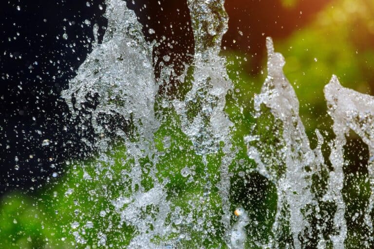 dispositif ingénieux sauve les arbres en été