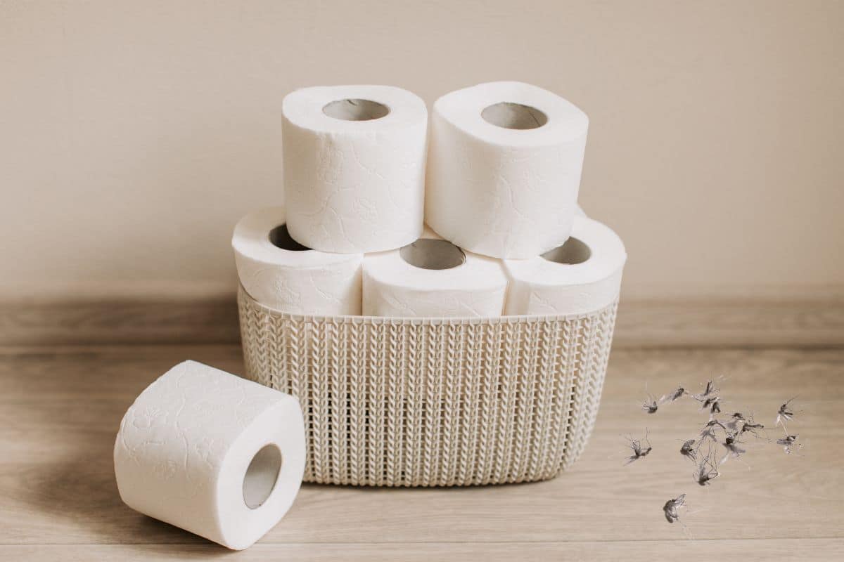 papier toilette et moustiques