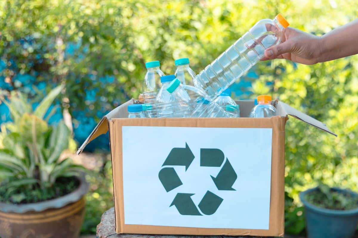 recyclage du plastique stagne