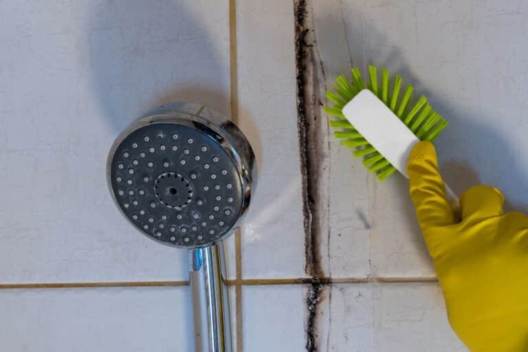 salle de bain permet d’éviter 80 % des moisissures