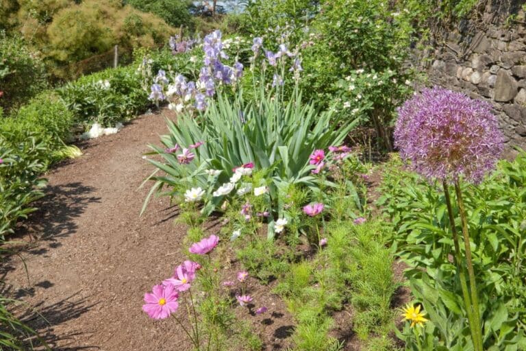 astuce pour créer un chemin coloré sans gaspiller d’eau