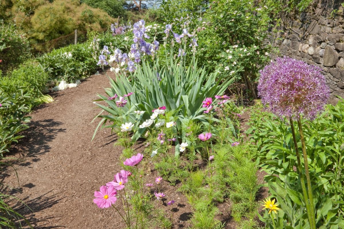 astuce pour créer un chemin coloré sans gaspiller d’eau