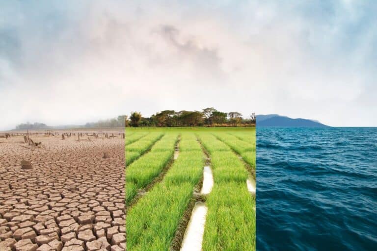 dérèglement climatique grimper prix produits alimentaires