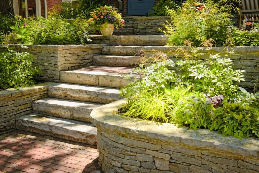 Il transforme son jardin en oasis sans jamais arroser, tout repose sur ce système encore méconnu