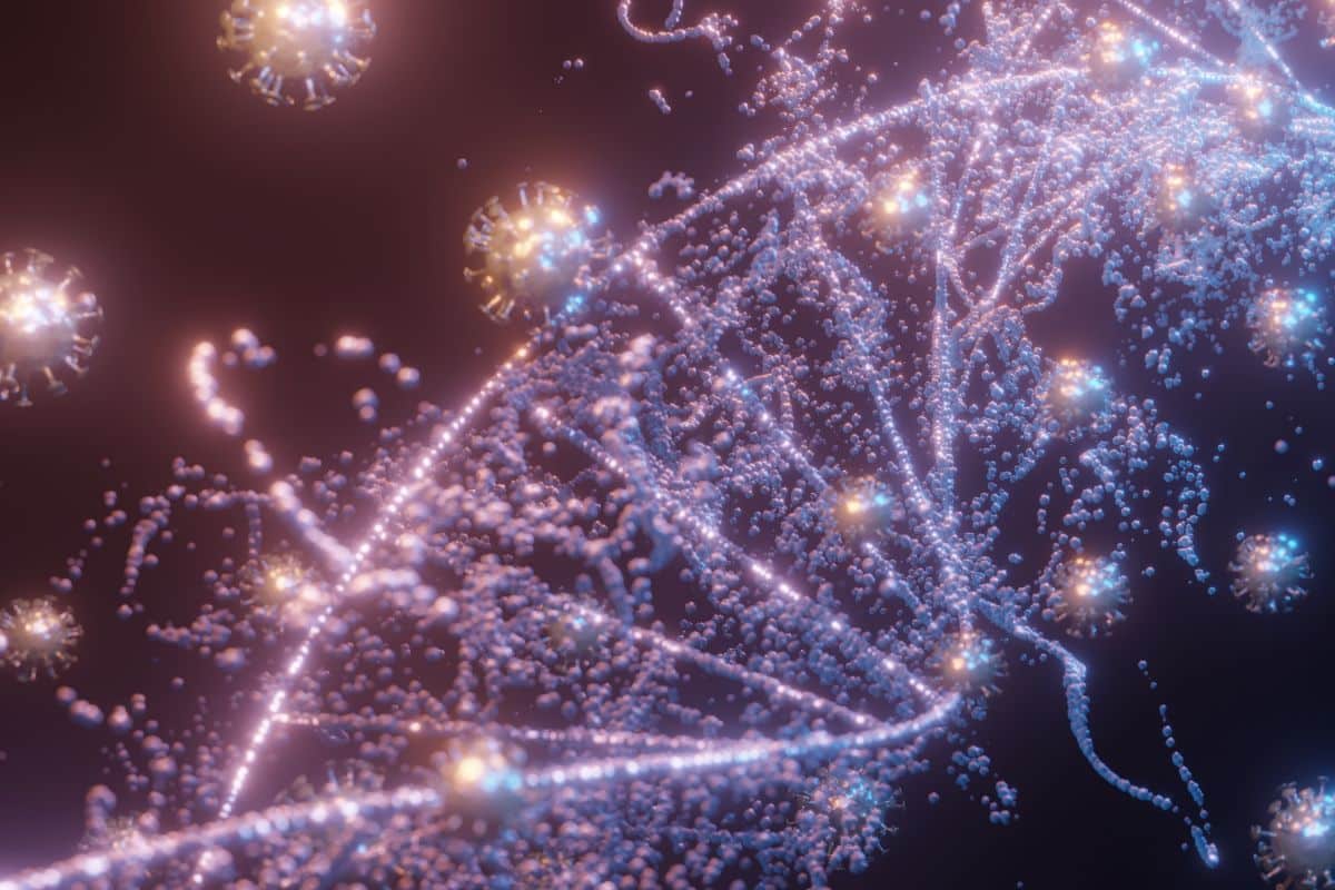 nouveaux neurones
