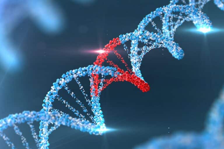 projet controversé de création d'adn humain artificiel