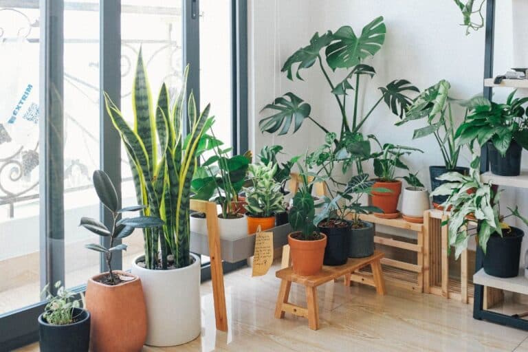 rafraîchit votre intérieur et fait chuter la facture