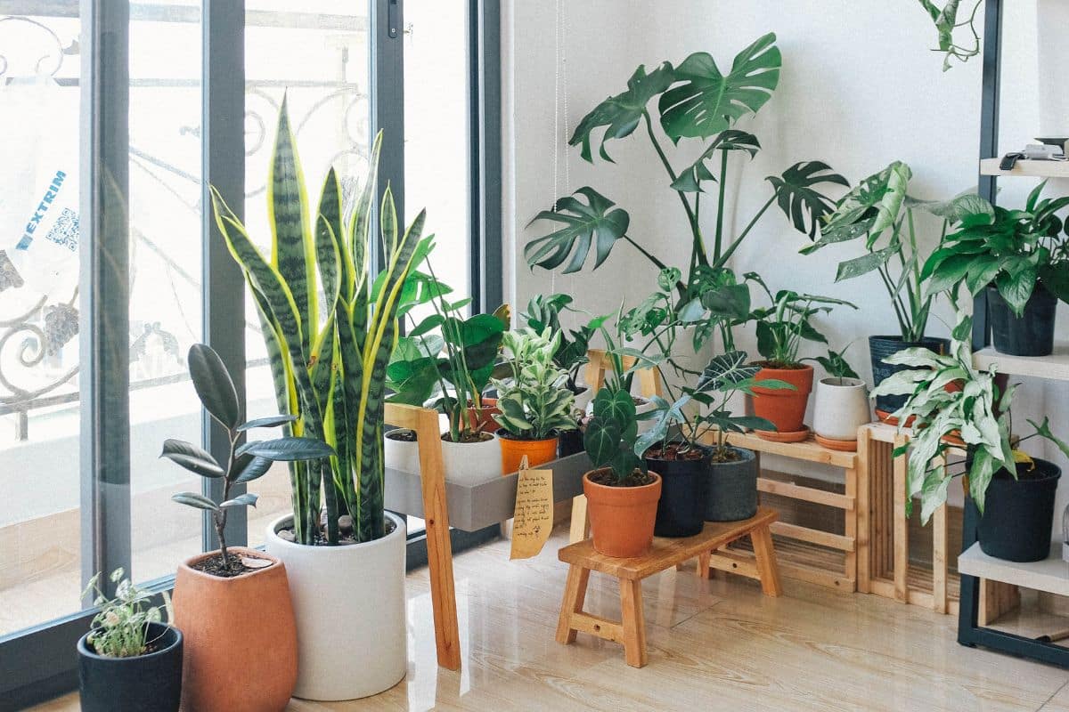 rafraîchit votre intérieur et fait chuter la facture